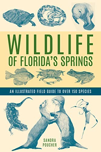 Wildlife of Florida's Springs: An Illustrated Field Guide to Over 150 Species von Pineapple Press